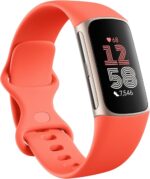 Fitbit Charge 6 OLED Wristband Activity Tracker coral/aluminium gold