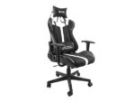 FURY Avenger XL Universal gaming chair Padded seat Black  White - Image 2