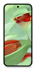 Google Pixel 9 16 cm (6.3 )  12 GB  128 GB  50 MP  Android 14  Wintergreen