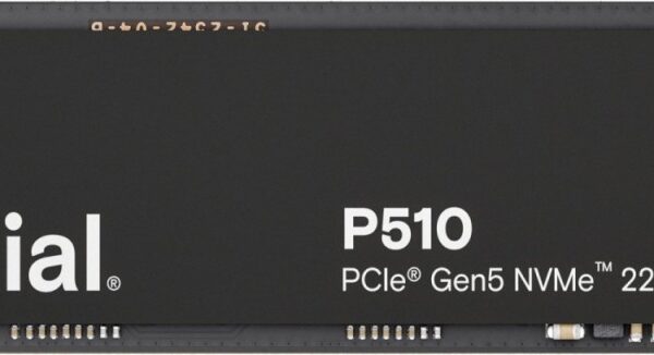 P510 2TB M.2 NVMe Gen5 2280 10000/8700 MB/s